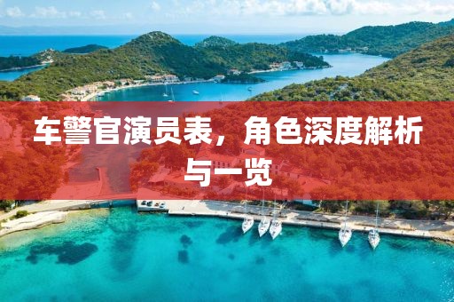 车警官演员表，角色深度解析与一览