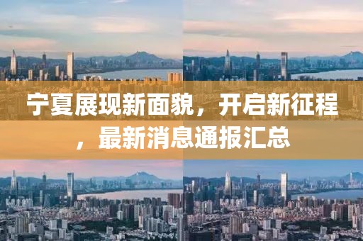 宁夏展现新面貌，开启新征程，最新消息通报汇总