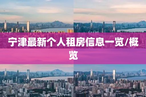 宁津最新个人租房信息一览/概览