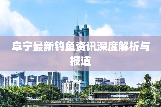 阜宁最新钓鱼资讯深度解析与报道