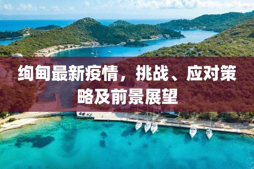 绚甸最新疫情，挑战、应对策略及前景展望