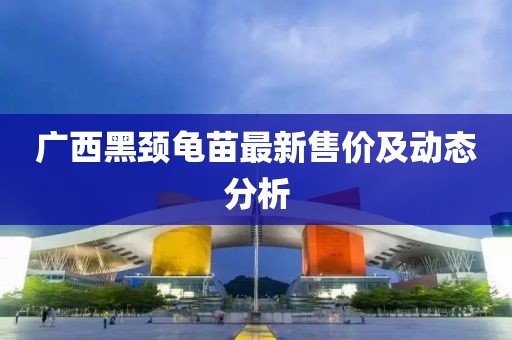 广西黑颈龟苗最新售价及动态分析