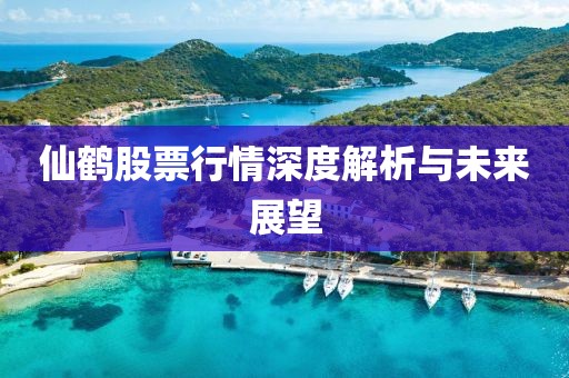 仙鹤股票行情深度解析与未来展望