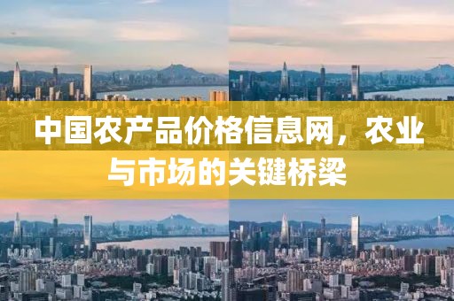 中国农产品价格信息网，农业与市场的关键桥梁