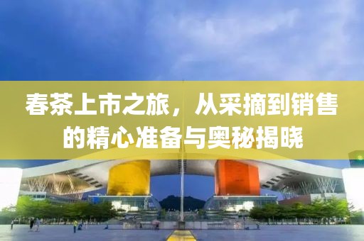 春茶上市之旅，从采摘到销售的精心准备与奥秘揭晓