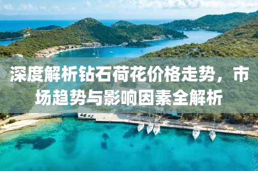 深度解析钻石荷花价格走势，市场趋势与影响因素全解析