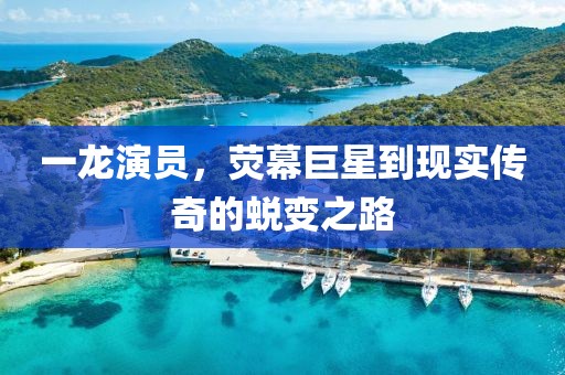 一龙演员，荧幕巨星到现实传奇的蜕变之路