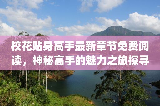 校花贴身高手最新章节免费阅读，神秘高手的魅力之旅探寻
