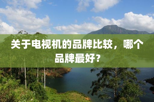关于电视机的品牌比较，哪个品牌最好？