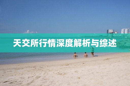 天交所行情深度解析与综述