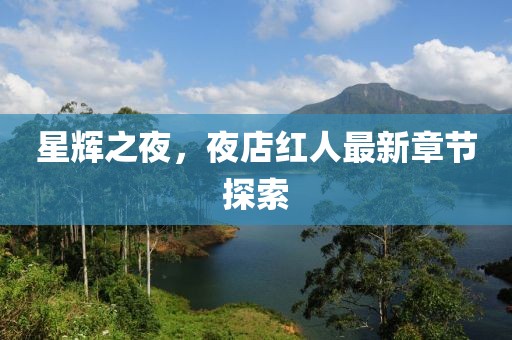 星辉之夜，夜店红人最新章节探索
