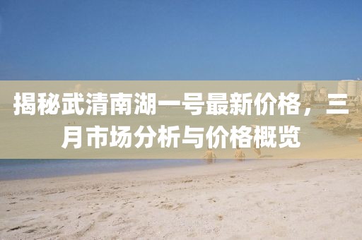 揭秘武清南湖一号最新价格，三月市场分析与价格概览