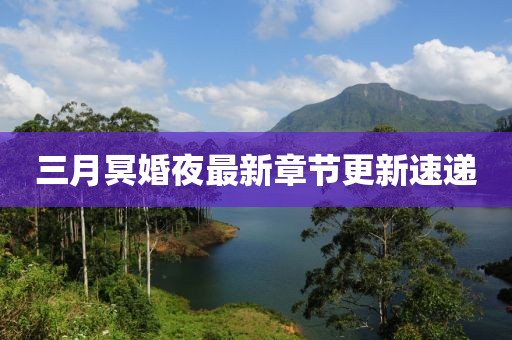 三月冥婚夜最新章节更新速递