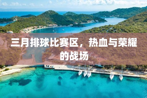 三月排球比赛区，热血与荣耀的战场