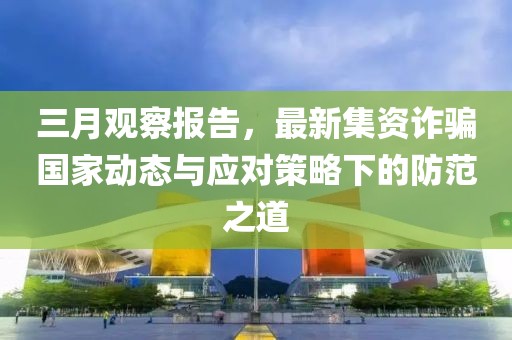 三月观察报告，最新集资诈骗国家动态与应对策略下的防范之道