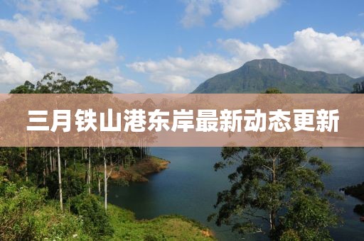 三月铁山港东岸最新动态更新