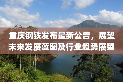 重庆钢铁发布最新公告，展望未来发展蓝图及行业趋势展望