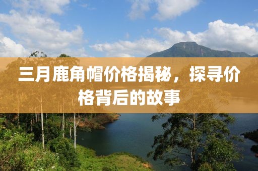 三月鹿角帽价格揭秘，探寻价格背后的故事