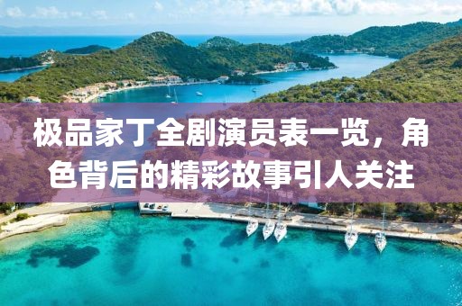 极品家丁全剧演员表一览，角色背后的精彩故事引人关注