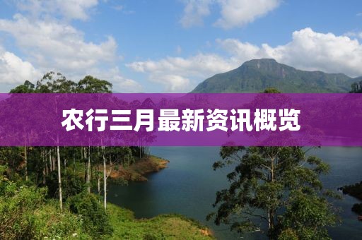 农行三月最新资讯概览
