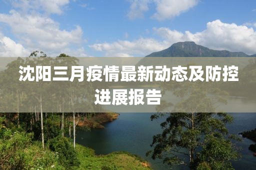 沈阳三月疫情最新动态及防控进展报告