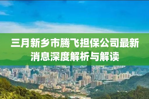 三月新乡市腾飞担保公司最新消息深度解析与解读