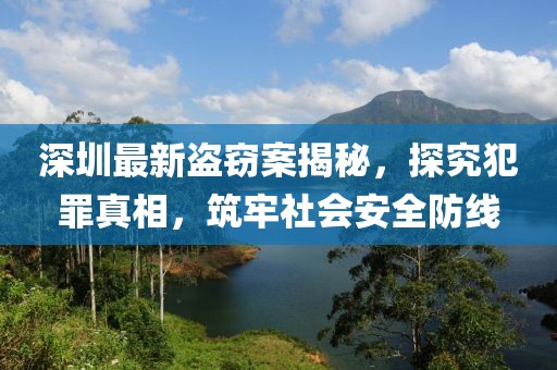 深圳最新盗窃案揭秘，探究犯罪真相，筑牢社会安全防线