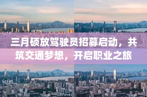 三月硕放驾驶员招募启动，共筑交通梦想，开启职业之旅