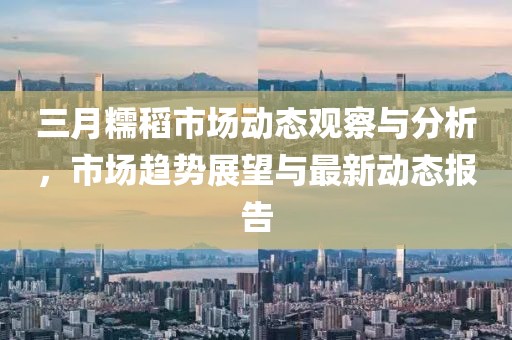 三月糯稻市场动态观察与分析，市场趋势展望与最新动态报告