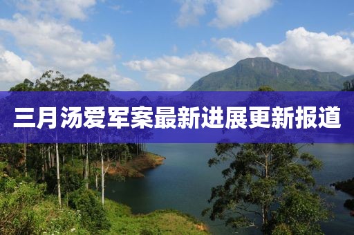 三月汤爱军案最新进展更新报道