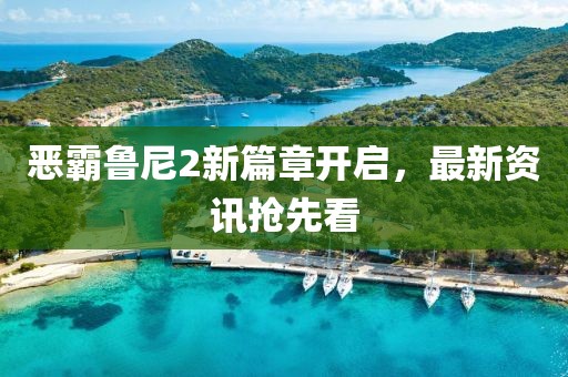 恶霸鲁尼2新篇章开启，最新资讯抢先看