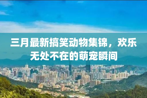 三月最新搞笑动物集锦，欢乐无处不在的萌宠瞬间