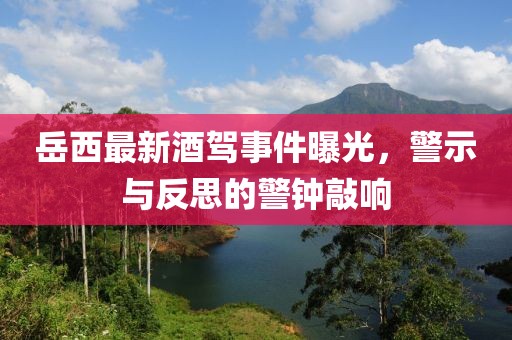 岳西最新酒驾事件曝光，警示与反思的警钟敲响
