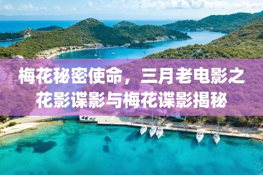 梅花秘密使命，三月老电影之花影谍影与梅花谍影揭秘