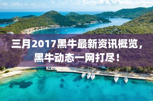 三月2017黑牛最新资讯概览，黑牛动态一网打尽！