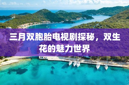 三月双胞胎电视剧探秘，双生花的魅力世界