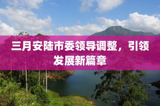 三月安陆市委领导调整，引领发展新篇章