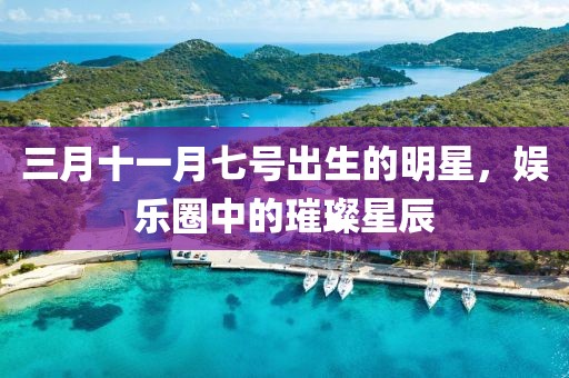三月十一月七号出生的明星，娱乐圈中的璀璨星辰