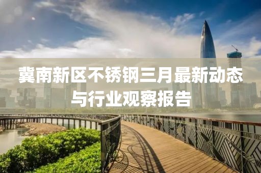 冀南新区不锈钢三月最新动态与行业观察报告