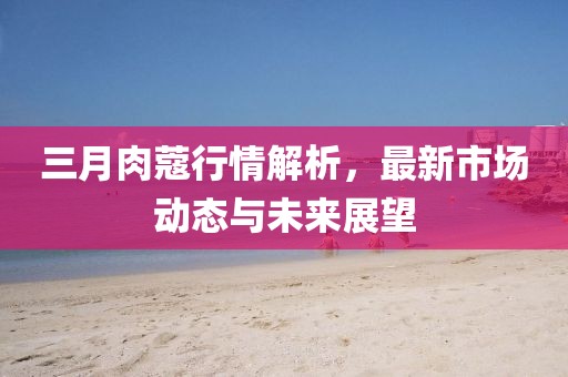 三月肉蔻行情解析，最新市场动态与未来展望