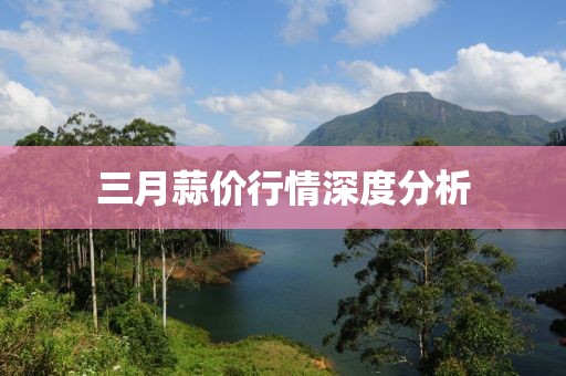 三月蒜价行情深度分析