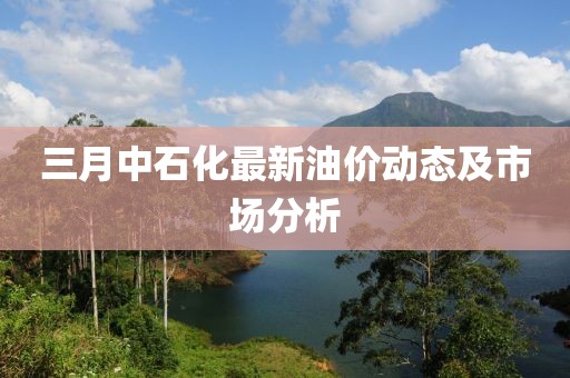 三月中石化最新油价动态及市场分析