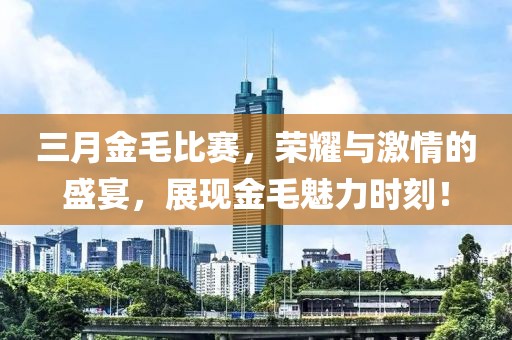 三月金毛比赛，荣耀与激情的盛宴，展现金毛魅力时刻！