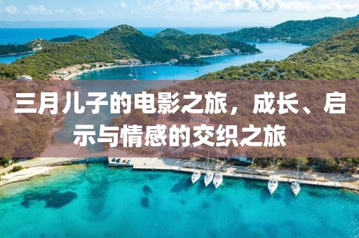 三月儿子的电影之旅，成长、启示与情感的交织之旅