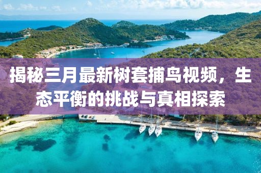 揭秘三月最新树套捕鸟视频，生态平衡的挑战与真相探索