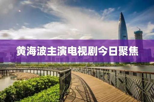 黄海波主演电视剧今日聚焦