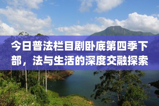 今日普法栏目剧卧底第四季下部，法与生活的深度交融探索