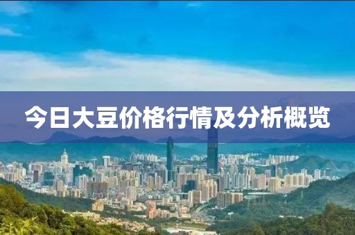 今日大豆价格行情及分析概览