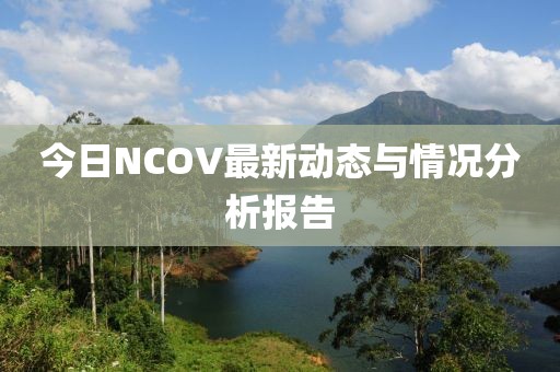 今日NCOV最新动态与情况分析报告