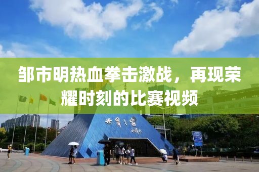 邹市明热血拳击激战，再现荣耀时刻的比赛视频